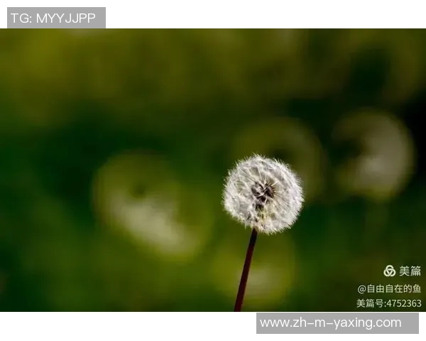 佑树vs探索生命的奥秘与自然的和谐共生之道 佑树vs探索生命的奥秘与自然的和谐共生之道